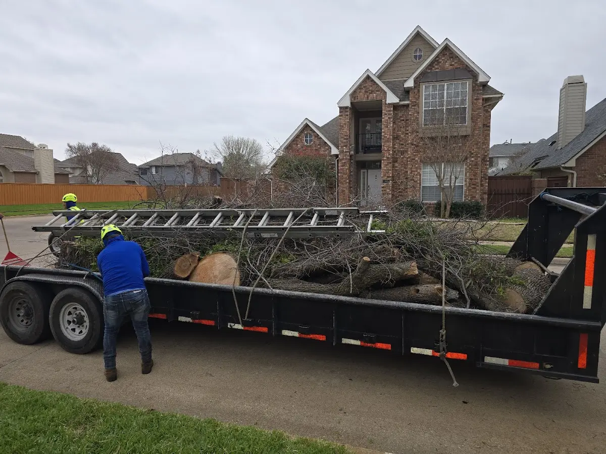 Expert Tree Pest Control with proper safety equipment in Kerrville